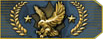 Eagle Ranks