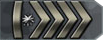 Silver Ranks